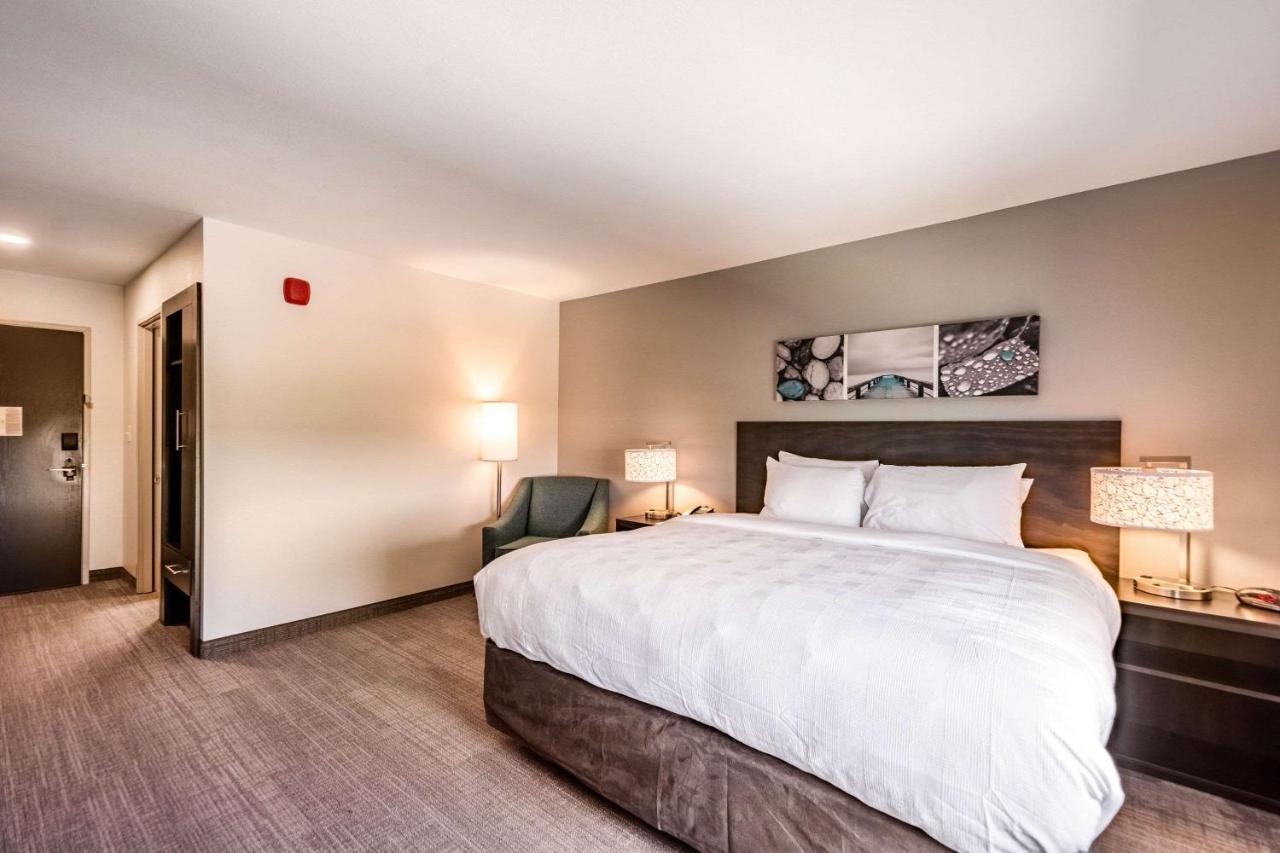 Mainstay Suites Sarasota I-75 Fruitville Bagian luar foto